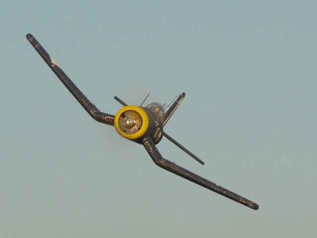 P1050075.jpg