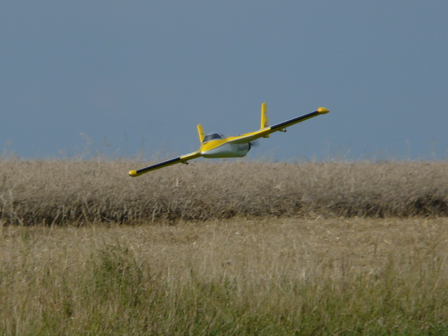 P1120110.jpg